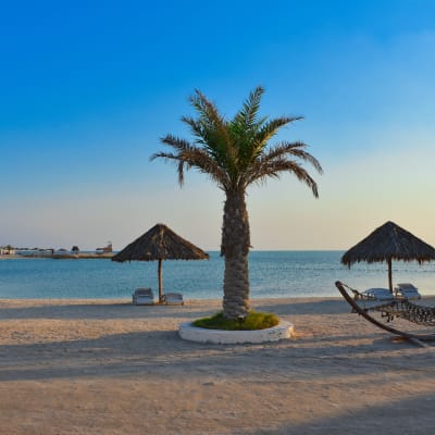 A tranquil beach scene with a palm tree, thatched umbrellas, a hammock, and calm water under a clear blue sky.