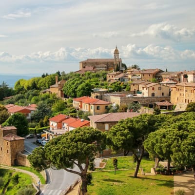 A scenic view of Montalcino, Italy, with historic buildings on a hillside surrounded by lush greenery and trees.