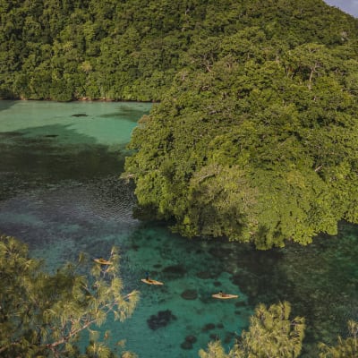 Aerial view of a lush green island surrounded by clear blue water with kayaks near the shoreline.