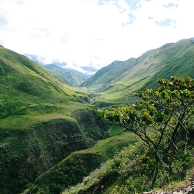 Weite grüne Berge mit üppiger Vegetation und bewölktem Himmel im Hintergrund.