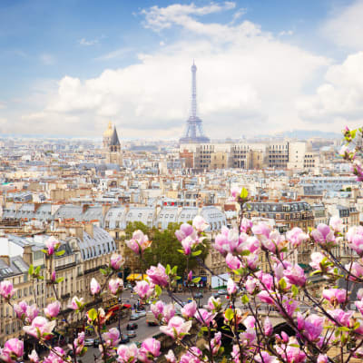 Panoramablick auf die Pariser Skyline mit blühenden pinken Blumen im Vordergrund und dem Eiffelturm im Hintergrund unter einem bewölkten Himmel.