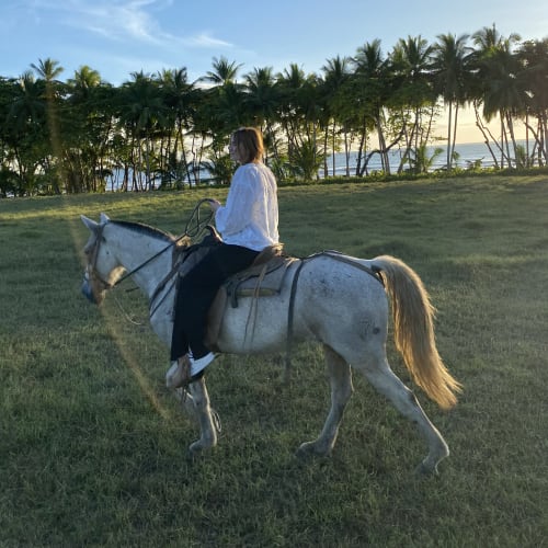 Person in weißem Oberteil reitet bei Sonnenuntergang auf einem weißen Pferd auf einer grünen Wiese mit Palmen und Meer im Hintergrund.