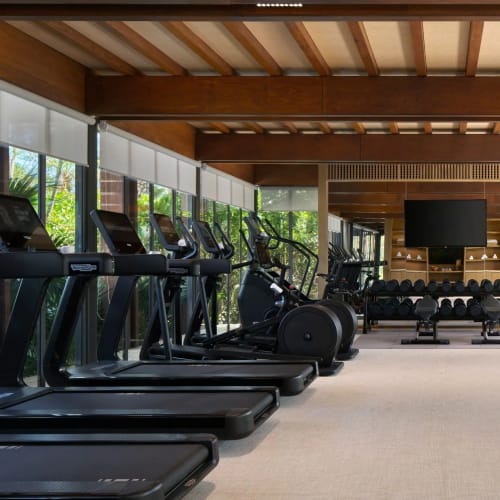 Spacious gym with treadmills, stationary bikes, weight machines, dumbbells, and large windows providing natural light and a view of greenery outside.