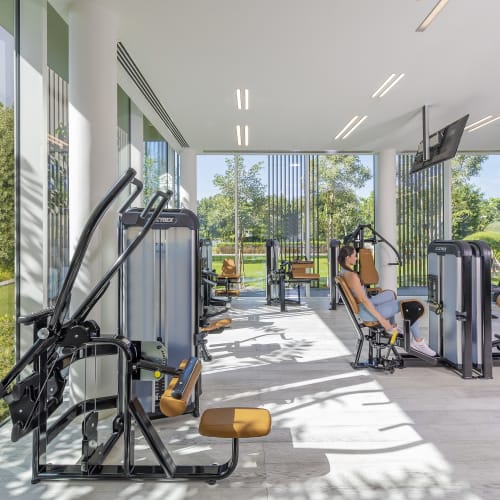 Modern gym with various exercise machines and large windows showing greenery outside
