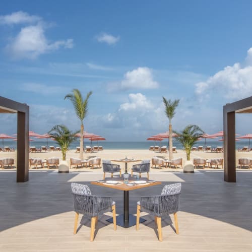 A spacious outdoor dining area overlooking the beach with palm trees, sun umbrellas, and ocean in the background.
