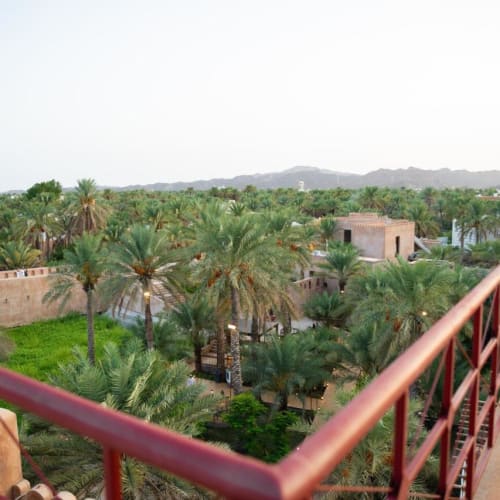 Blick von einer Dachterrasse mit rotem Geländer auf einen üppigen Palmengarten und traditionelle Lehmziegelgebäude vor einer fernen Bergkette unter klarem Himmel.