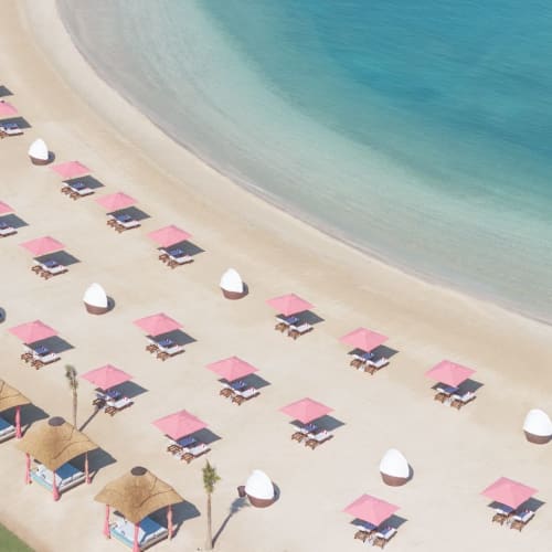 An aerial view of a beach with pink umbrellas and lounge chairs lined up along the shore, with small beach huts and palm trees nearby.