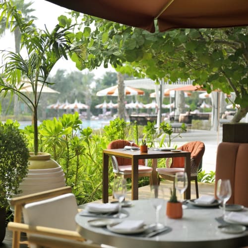 An outdoor dining area shaded by trees and surrounded by lush greenery, with a table set for a meal.