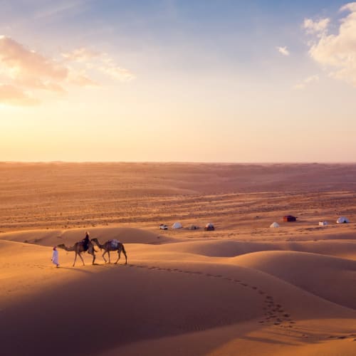 Two camels with their guides walking across the golden sands of the Wahiba Desert at sunset, with tents in the distance.