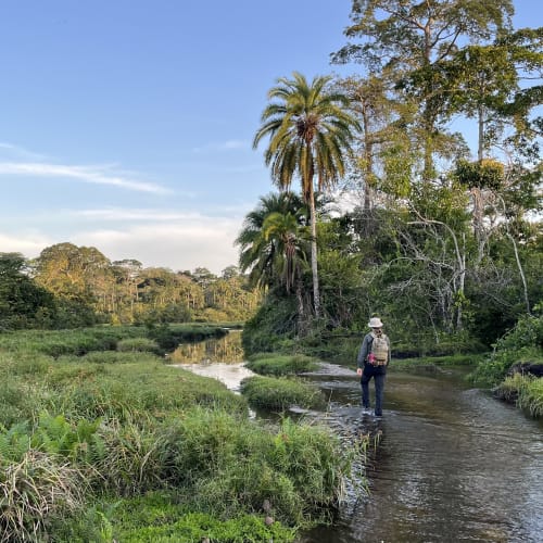 Eine Person mit Rucksack wandert durch einen seichten Fluss, umgeben von üppigem Grün und hohen Bäumen unter einem blauen Himmel.