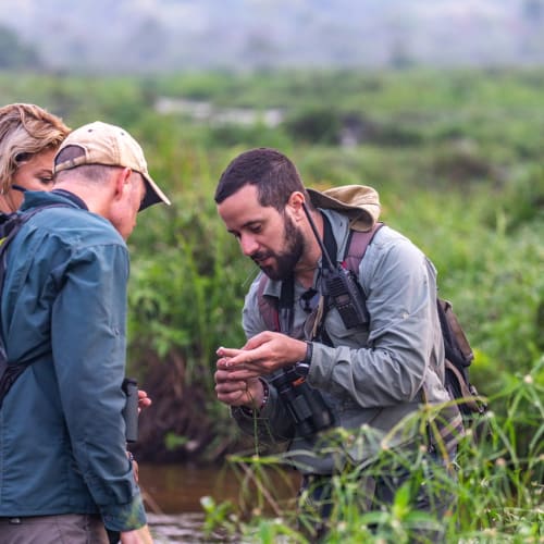 Eine Gruppe von drei Menschen, zwei Männer und eine Frau, untersuchen etwas, während sie in einem Fluss in einer üppigen grünen Landschaft stehen.