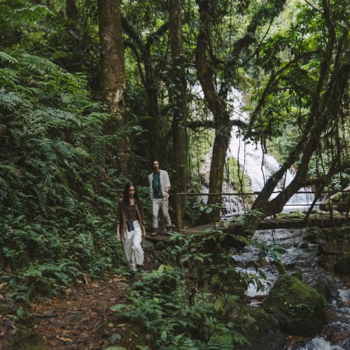 Two people walk along a forest trail beside a small stream in a lush jungle setting.