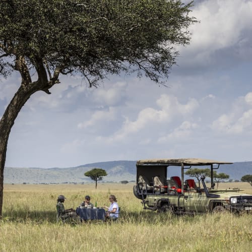 A group of people enjoying a picnic under a large tree beside an open safari vehicle in the savannah.