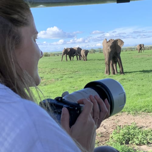 Eine Frau mit langen Haaren sitzt in einem Fahrzeug und fotografiert Elefanten auf der Graslandschaft.