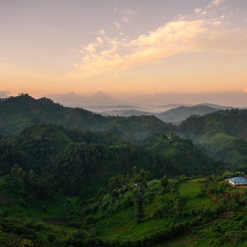 Sonnenaufgang über grünen Hügeln im Bwindi-Nationalpark, Uganda, mit einem kleinen Haus auf einem Hügel.