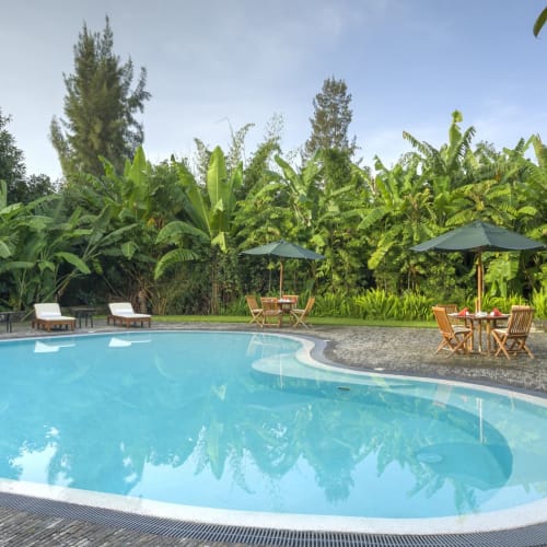 Schwimmbereich mit tropischer Bepflanzung, mehreren Liegestühlen und Holztischen mit Sonnenschirmen.