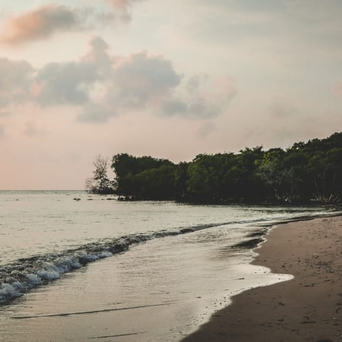 Ein ruhiger Strand mit sanften Wellen, die auf einen sandigen Strand treffen, im Hintergrund grüne Bäume und ein bewölkter Himmel.