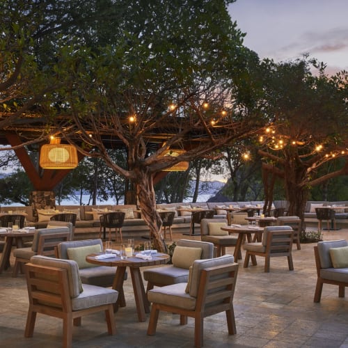 Gartenterrasse eines Restaurants im Freien unter großen Bäumen, dekoriert mit Lichterketten während des Sonnenuntergangs.