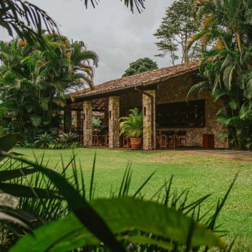 A rustic stone house with a tiled roof surrounded by lush green plants and trees, located in a garden setting at Pousada Literária de Paraty.