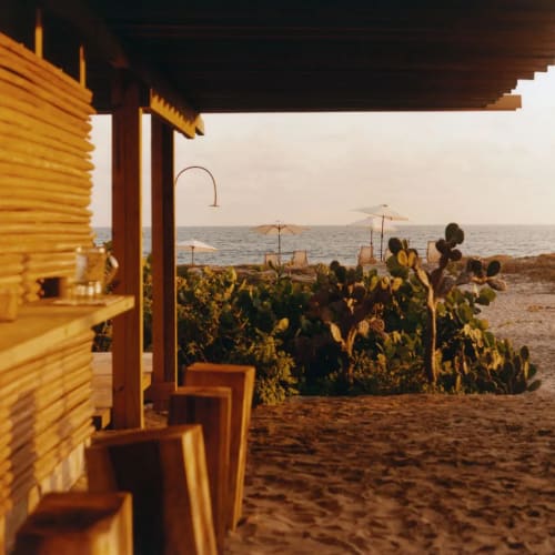 Holzstrandbar mit Hockern unter einem schattigen Dach, mit Blick auf Kakteen und Sonnenschirme am Meer bei Sonnenuntergang.