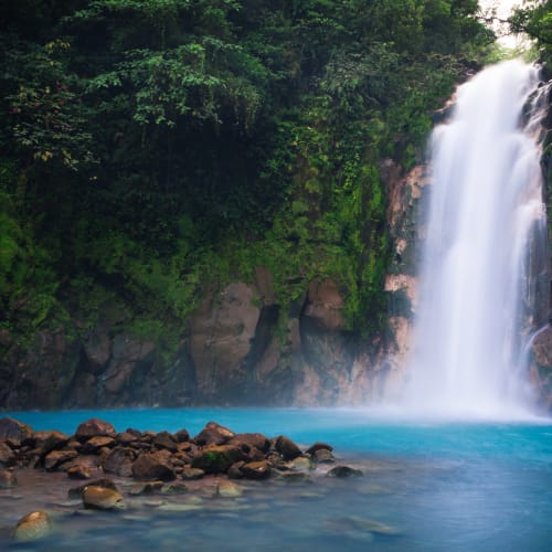A tall waterfall flows into a turquoise pool surrounded by lush green foliage.