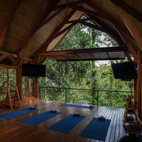 A cozy yoga studio inside a wooden structure surrounded by lush green trees, with yoga mats laid out on the polished wooden floor.
