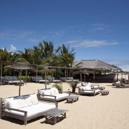 Beach club with wooden sofas and umbrellas on a sandy beach, palm trees and a clear blue sky in the background.