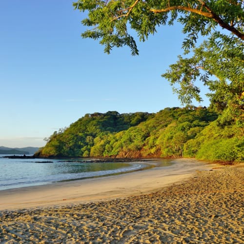 Ein ruhiger Strand mit goldenem Sand, ruhigem Wasser und üppigen grünen Bäumen unter einem klaren blauen Himmel.