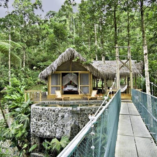 A luxurious honeymoon suite built on stilts with a thatched roof, surrounded by lush tropical forest, connected by a narrow suspension bridge.