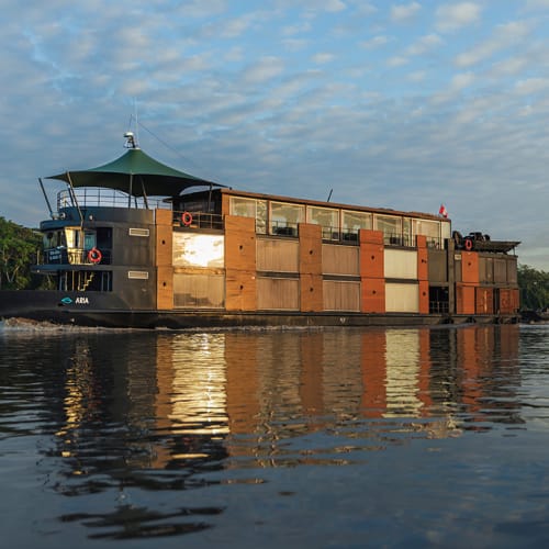 Ein großes braunes und schwarzes Flussboot, das auf ruhigem Wasser fährt, mit üppigem Grün im Hintergrund und einem bewölkten Himmel.