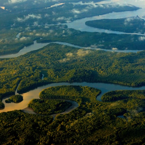 Aerial view of a winding river through lush green forests with multiple bends and meanders.