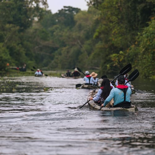 Gruppe von Menschen beim Kanufahren auf einem Fluss umgeben von dichtem grünen Wald.