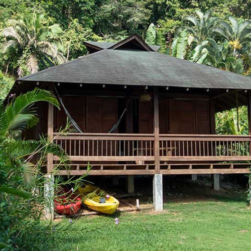 A small wooden cabin with a gray roof, surrounded by dense tropical vegetation including palm trees and flowering plants, with two kayaks on the grass in front.