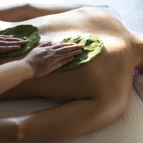 Eine Person erhält eine Rückenmassage mit großen grünen Blättern im Spa des Four Seasons Resort Punta Mita.