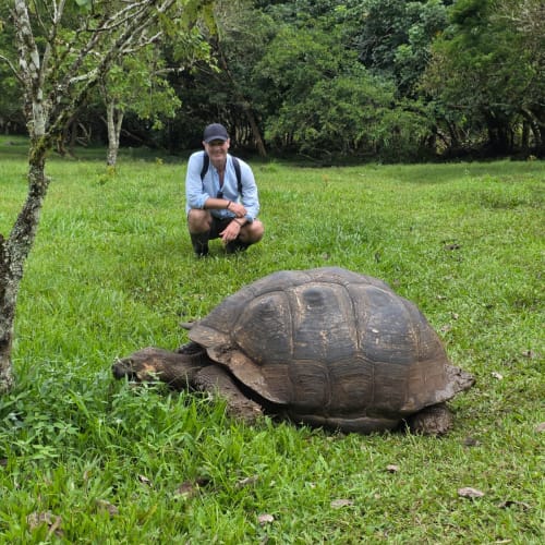 Ein Mann hockt auf einer Wiese und beobachtet eine große Galapagos-Schildkröte, die nahe einem Baum Gras frisst, umgeben von viel Grün.