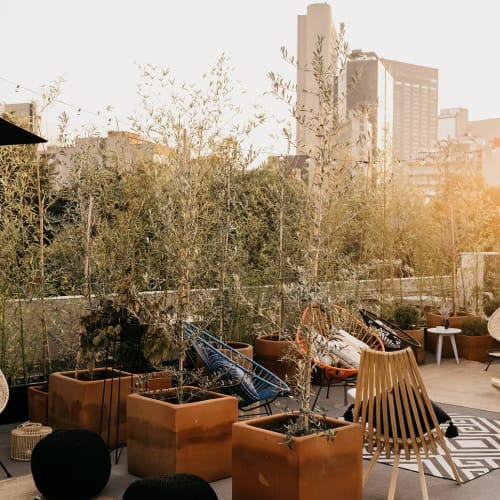 Sonnenuntergang auf einer Dachterrasse mit Topfpflanzen, verschiedenen Gartenstühlen und Stadtgebäuden im Hintergrund.