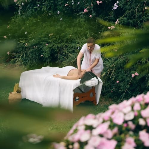 Eine Frau erhält eine Rückenmassage auf einem Massagetisch im Freien, umgeben von üppigem Grün und rosa Blumen in einem Garten.