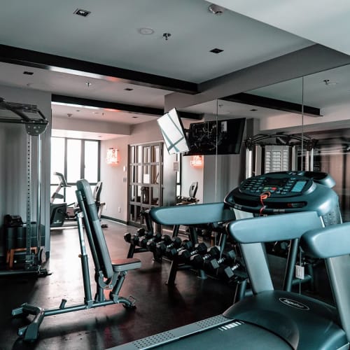 Innenansicht eines modernen Fitnessstudios mit verschiedenen Trainingsgeräten wie Laufband, verstellbarer Bank, Hanteln und Gewichtmaschinen, großen Fenstern und einer spiegelnden Wand, die den Raum reflektiert.