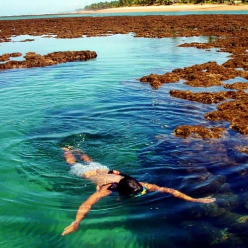 A person snorkeling in a natural swimming pool with clear water and rocks, at a tropical beach in Brazil.