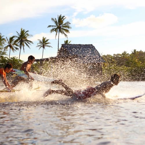 Three people are engaged in an intense surfing activity near a tropical shore lined with palm trees and a small hut, creating splashes in the water as they fall off their surfboards.