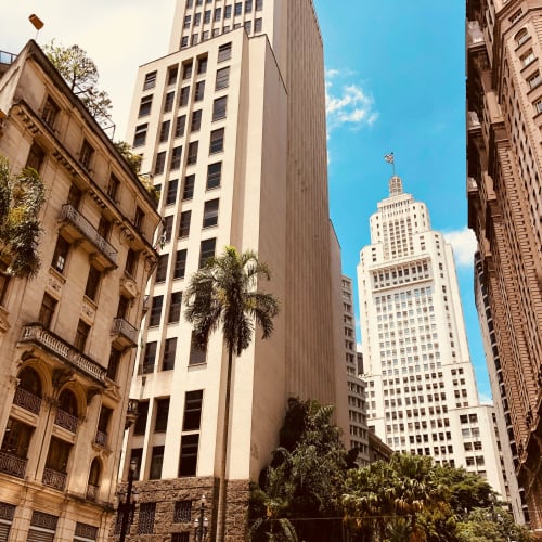 Tall buildings in an urban area with clear blue sky and a few palm trees interspersed between them in São Paulo.