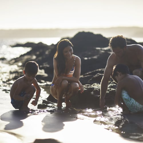 Eine Familie von vier Personen verbringt ihre Zeit am Strand bei Sonnenuntergang, spielend in der Nähe von Steinen und Wasser.