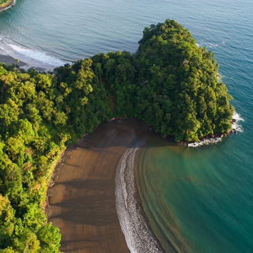 Aerial view of a curved black sand beach bordered by dense green forest and clear blue ocean water.