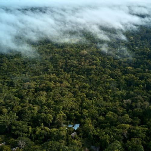 Aerial view of a dense Amazon rainforest with a few buildings and clouds overhead.