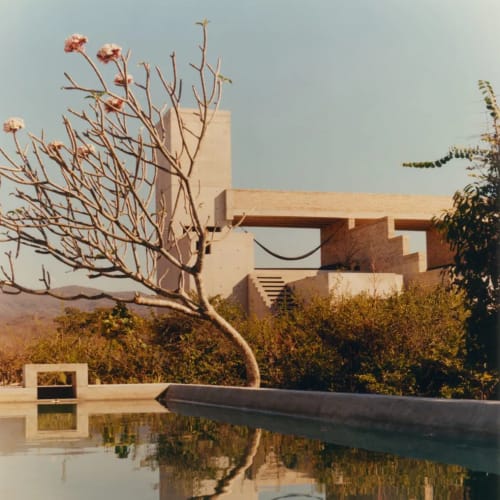 Modernes Architekturgebäude mit Treppen und horizontalen Dachbalken, umgeben von üppigem Grün, reflektiert in einem ruhigen Pool mit einem blattlosen blühenden Baum im Vordergrund.