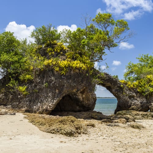 Eine natürliche Felsformation mit einem Bogen und üppigen grünen Bäumen an einem sandigen Strand in der Nähe des Meeres.