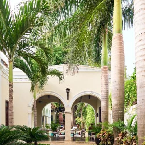 Innenhof des Casa Lecanda Boutique Hotels mit hohen Palmen, gefliestem Weg, grünen Pflanzen und Außenbestuhlung unter beigen Bögen.