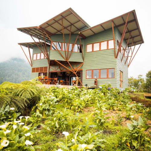 A modern green house with large overhanging roofs and wooden supports, surrounded by green plants with white flowers in a mountainous misty environment.