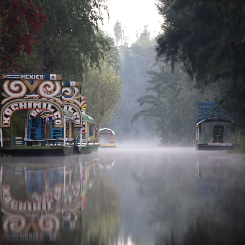 Bunt dekorierte Boote, die auf einem nebligen Kanal umgeben von Bäumen in Xochimilco, Mexiko-Stadt, fahren.