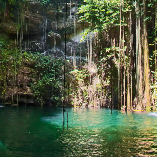 Ein ruhiger Cenote mit türkisfarbenem Wasser, umgeben von Felswänden und hängenden Lianen, beleuchtet von Sonnenlicht.
